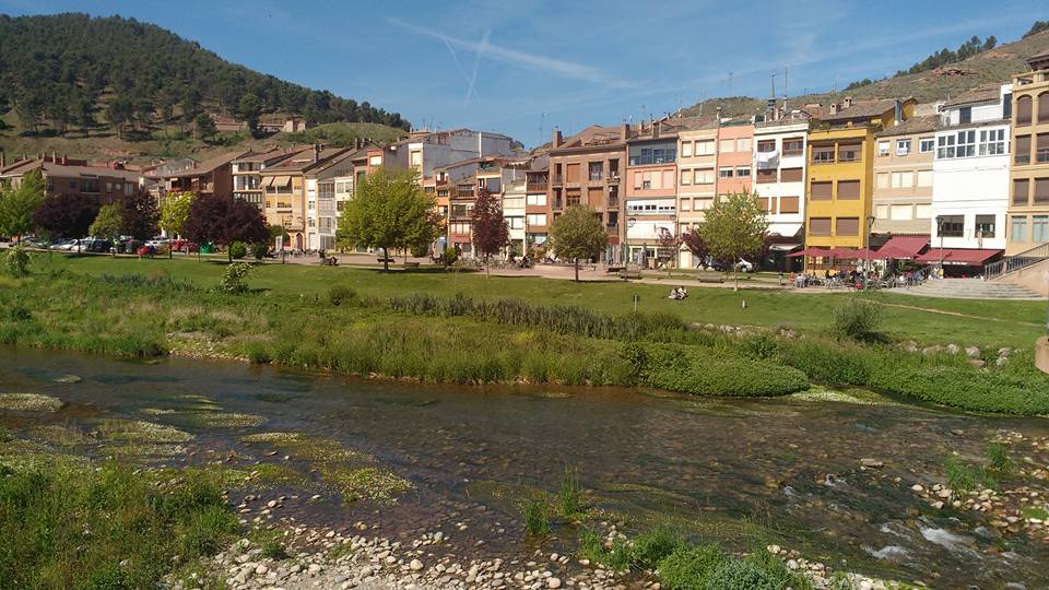 Coloured buildings line a river with mountains in the background